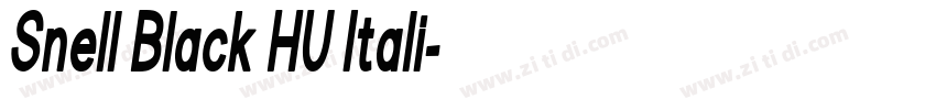Snell Black HU Itali字体转换
